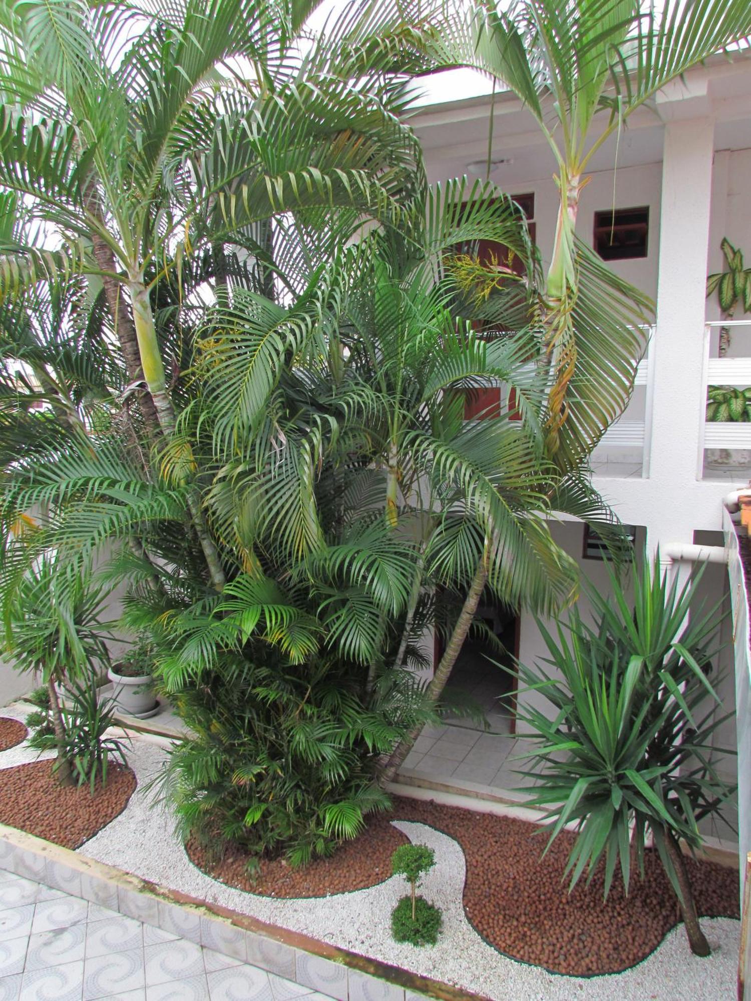 Nossa Casa 2* Maceió